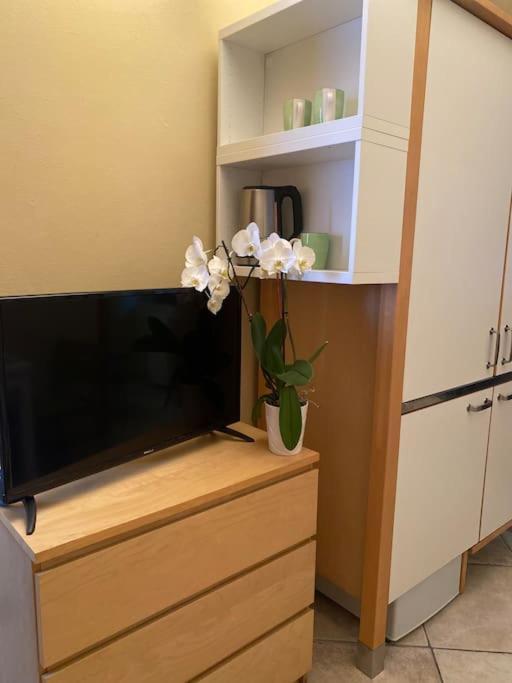 Apartment Civico 8