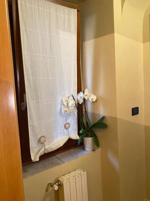 Civico 8 Apartment Rivarolo Canavese